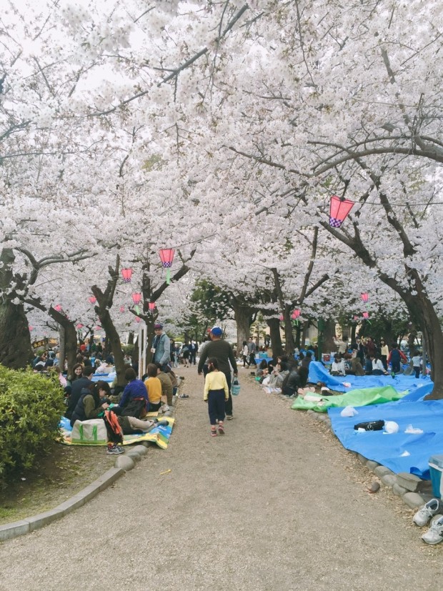 일본 나고야 자유여행 코스 : 관광명소&amp;#44; 가볼만한곳