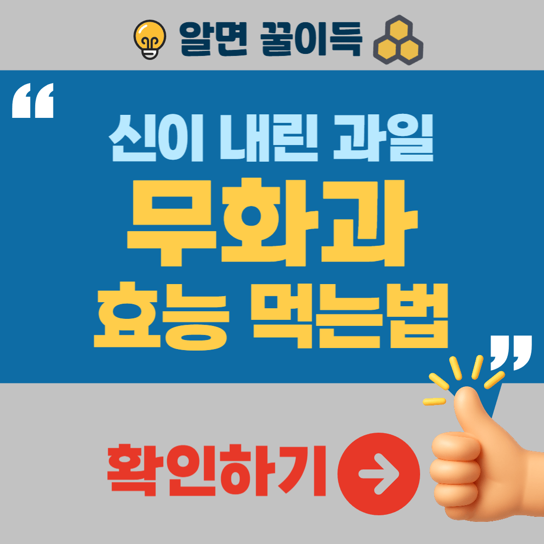 무화과 효능 먹는 법