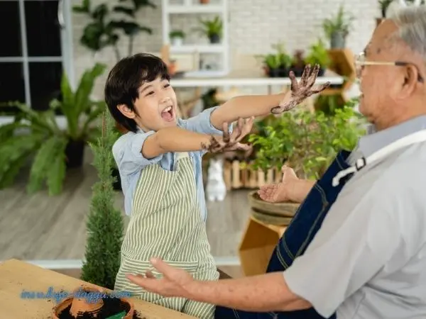 부조다꾸 보험 IRP DB DC