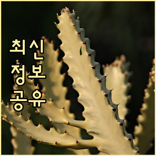 상수동 환경 지키기! 올바른 쓰레기 ..