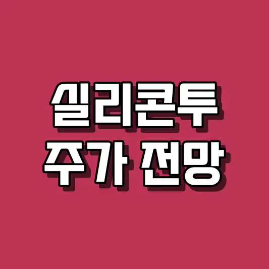 실리콘투 주가 전망