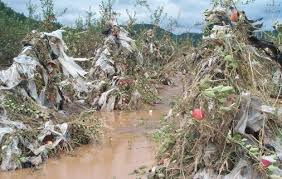 손해평가사 시험과목, 시험일정, 합격률, 전망