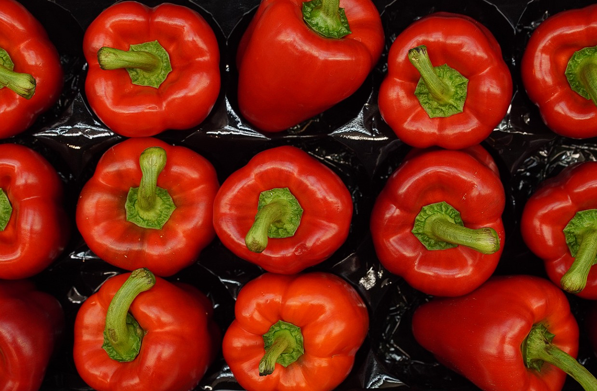 코스트코 회원권