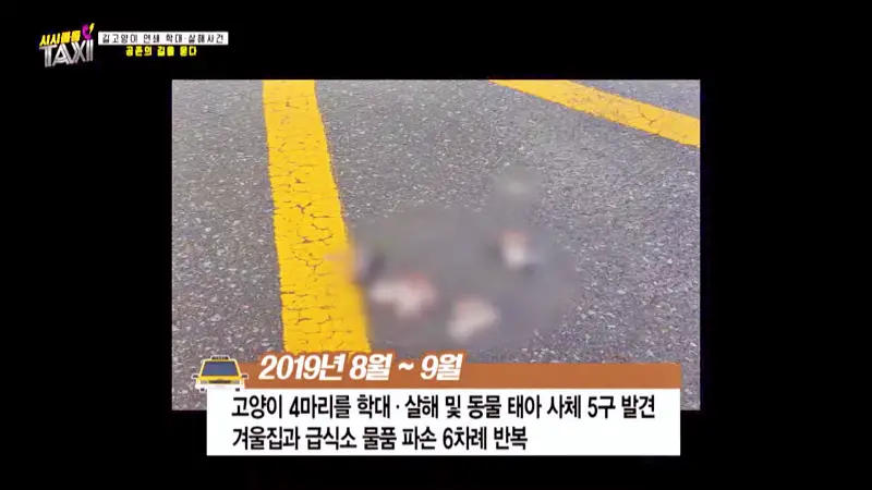 그알 그것이알고싶다 포항 고양이 연쇄 살해 사건 캣맘 불법 먹이 투기 행위 반대 캣 프레데터 강력 살인 범죄 징조 사례 1318회