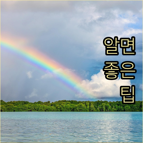 치매보험 언제부터 보장될까? 가입 시..