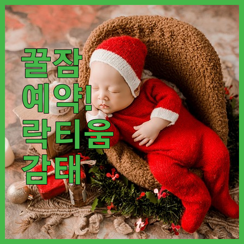 수면 질 개선 영양제 추천 및 락티움..