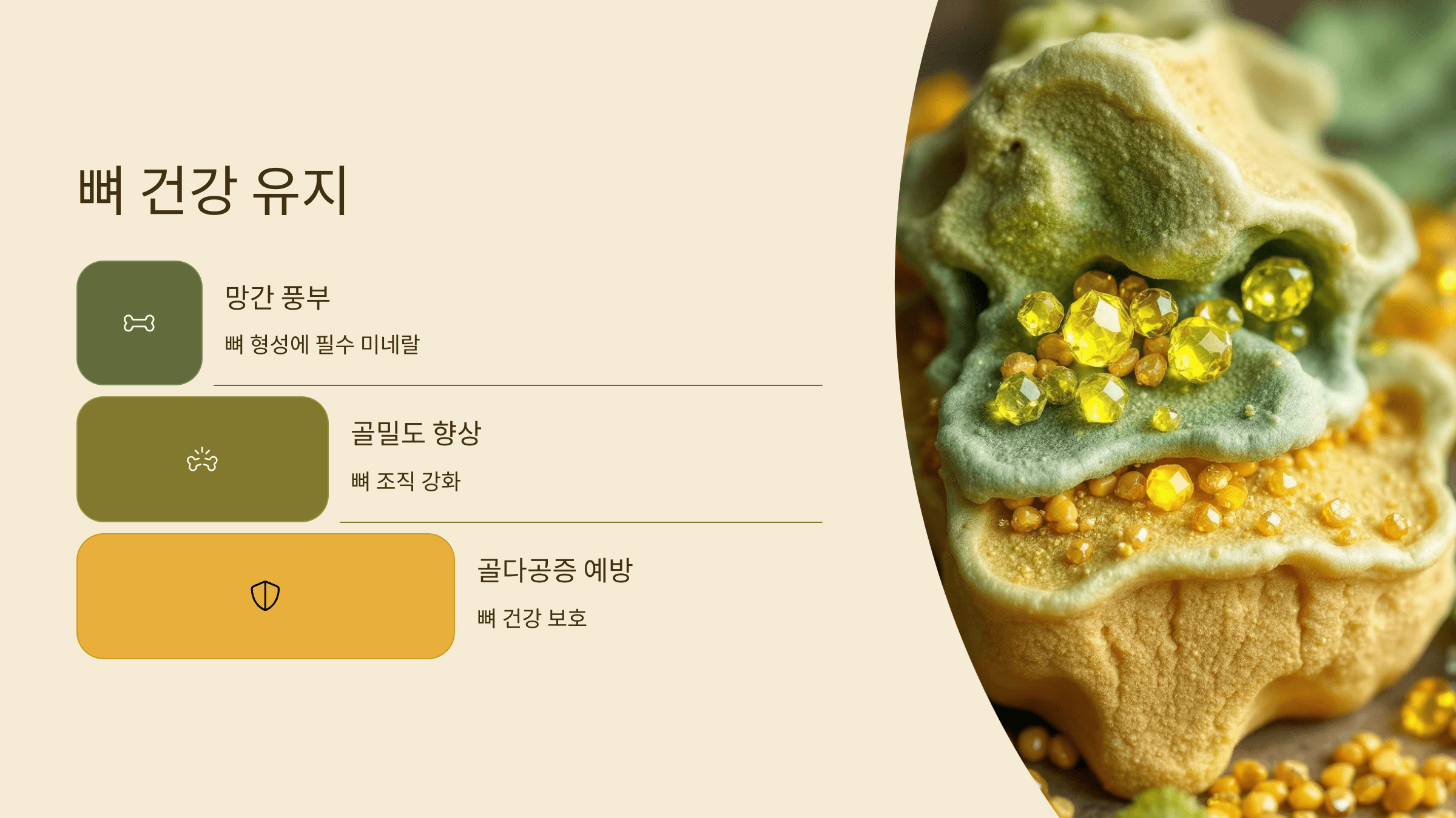 파인애플 사진입니다.