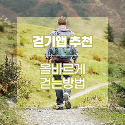 걷기앱 추천