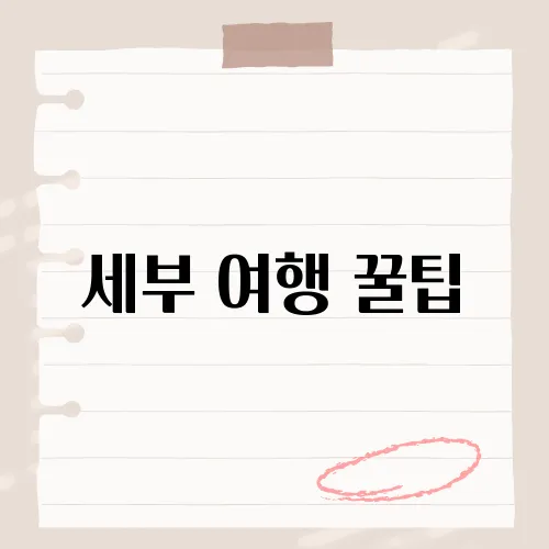 세부 여행 꿀팁, 이 한 가지 모르면?