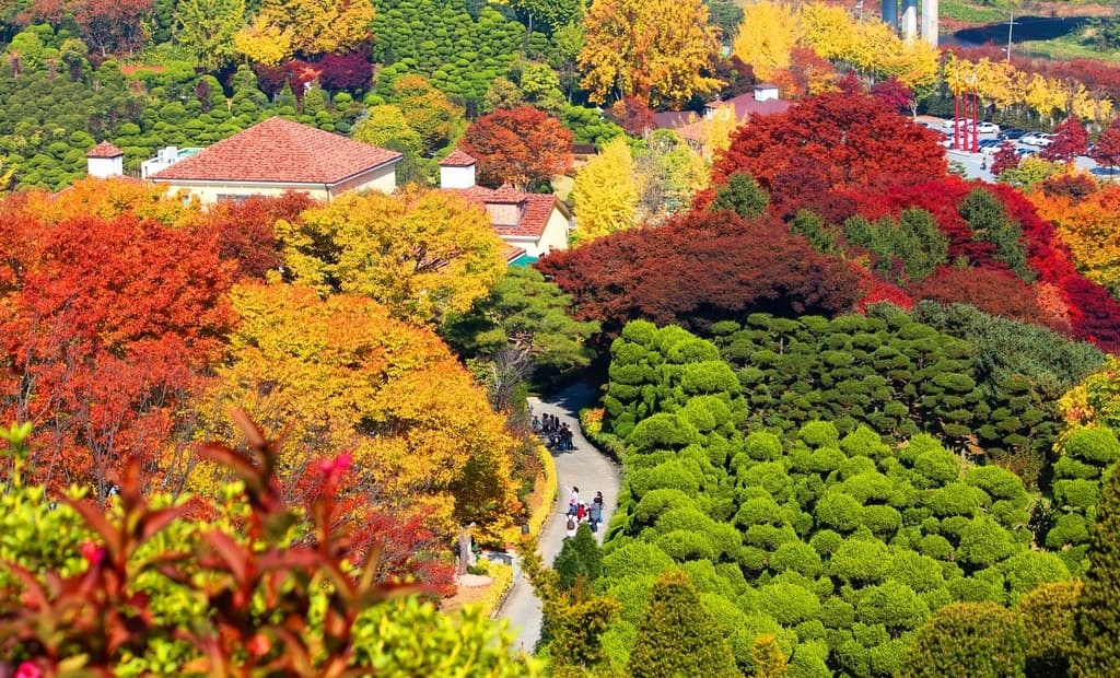 하늘에서 바라본, 빨갛고 노란 색색의 단풍들 사이로 걸어가는 사람들이 보인다
