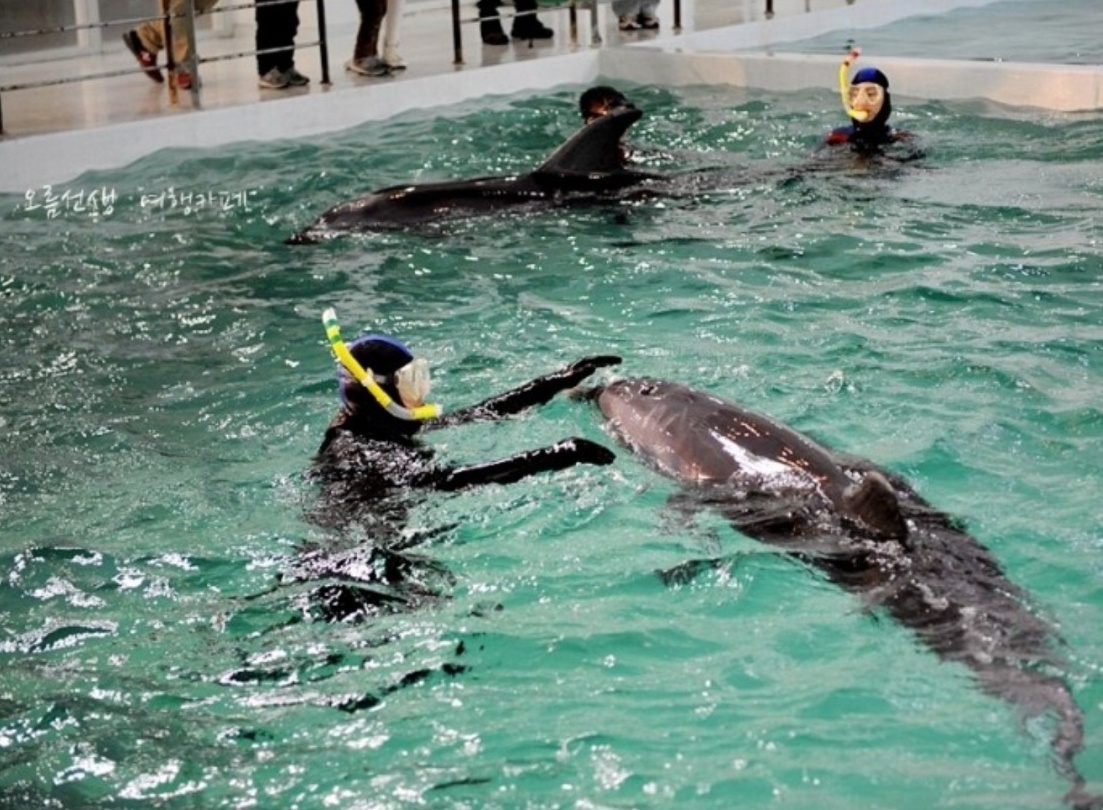 제주 마린파크 이미지