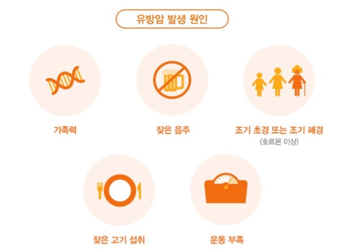 유방암 조기 발견의 방법, 마스토체크 검사란?