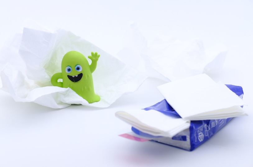 보스웰리아 효능 부작용 먹는방법