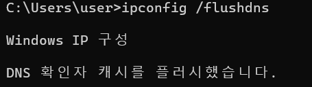 dns 초기화