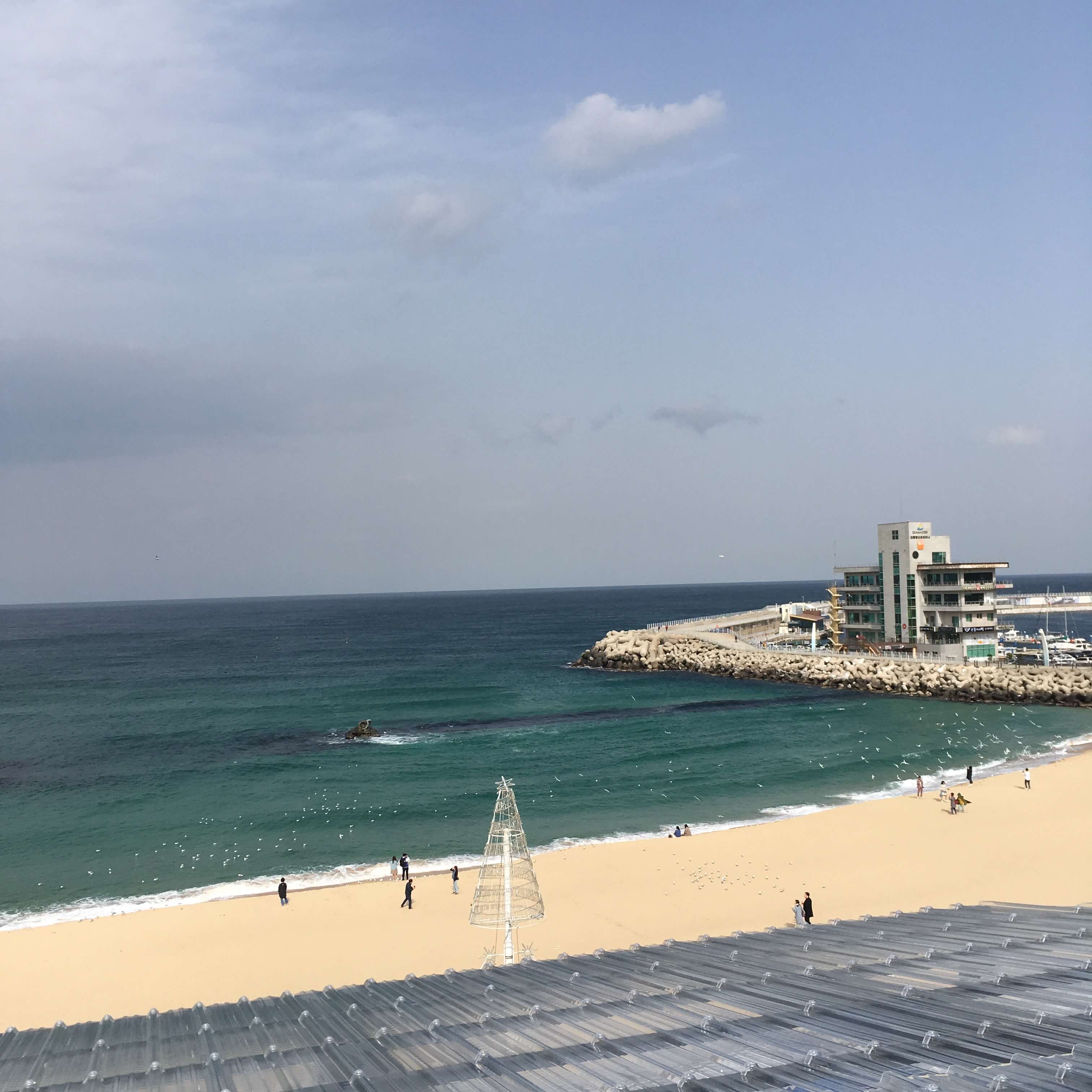 바다가는 달 할인 여행