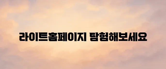 틱톡 라이트홈페이지 바로가기