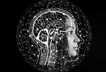 빅데이터와 외부 변수의 통합 분석