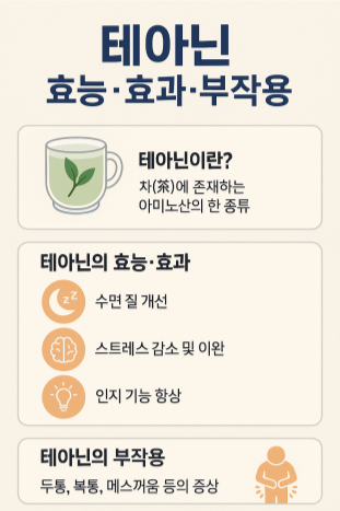 테아닌 효능, 효과, 부작용 인포그래픽