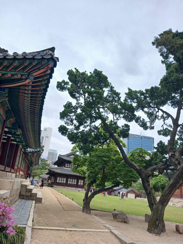 덕수궁 건물 앞마당