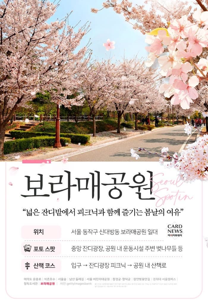 서울 벚꽃 명소 10곳 소개