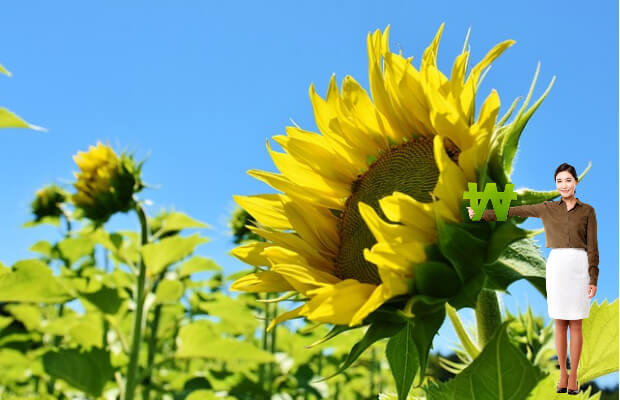 청년-월세-지원-신청-방법