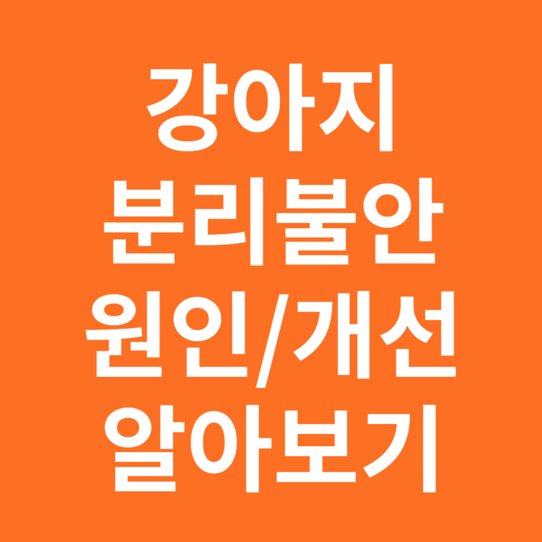 강아지 분리불안 원인 개선 알아보기