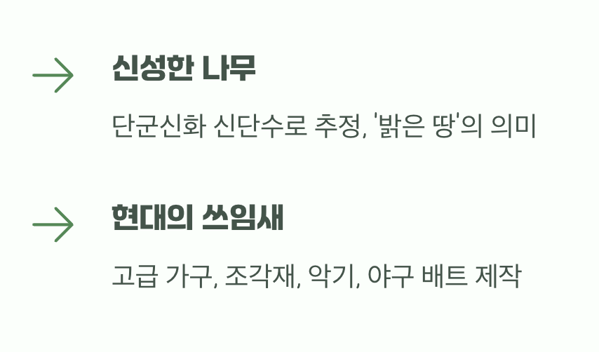 최고의 쓰임새 4 & 5: 신성한 나무, 그리고 오늘의 쓰임새