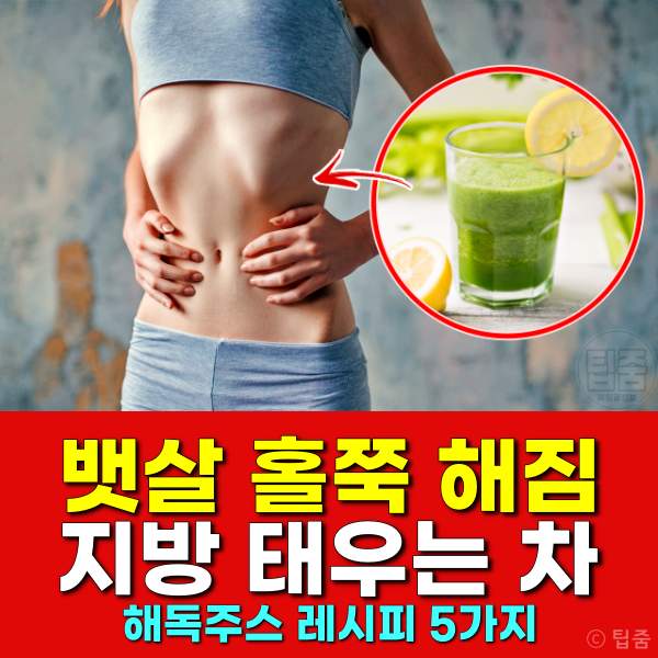 뱃살 지방태우는 차 해독주스 레시피 5