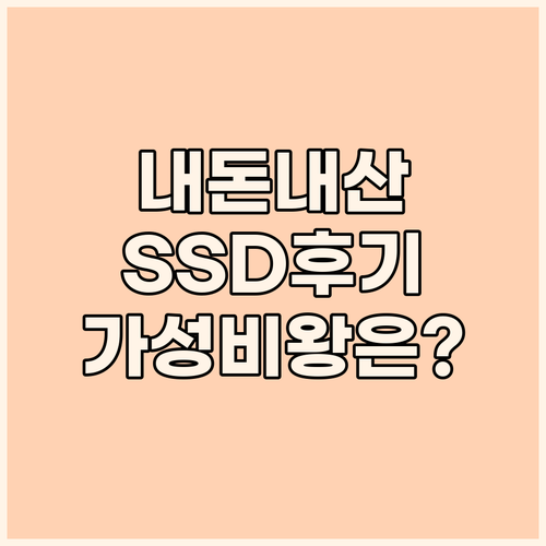 내돈내산 SSD 실사용 후기 FANX..
