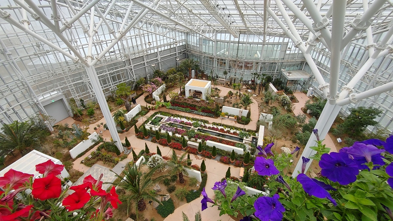 세종 수목원 온실