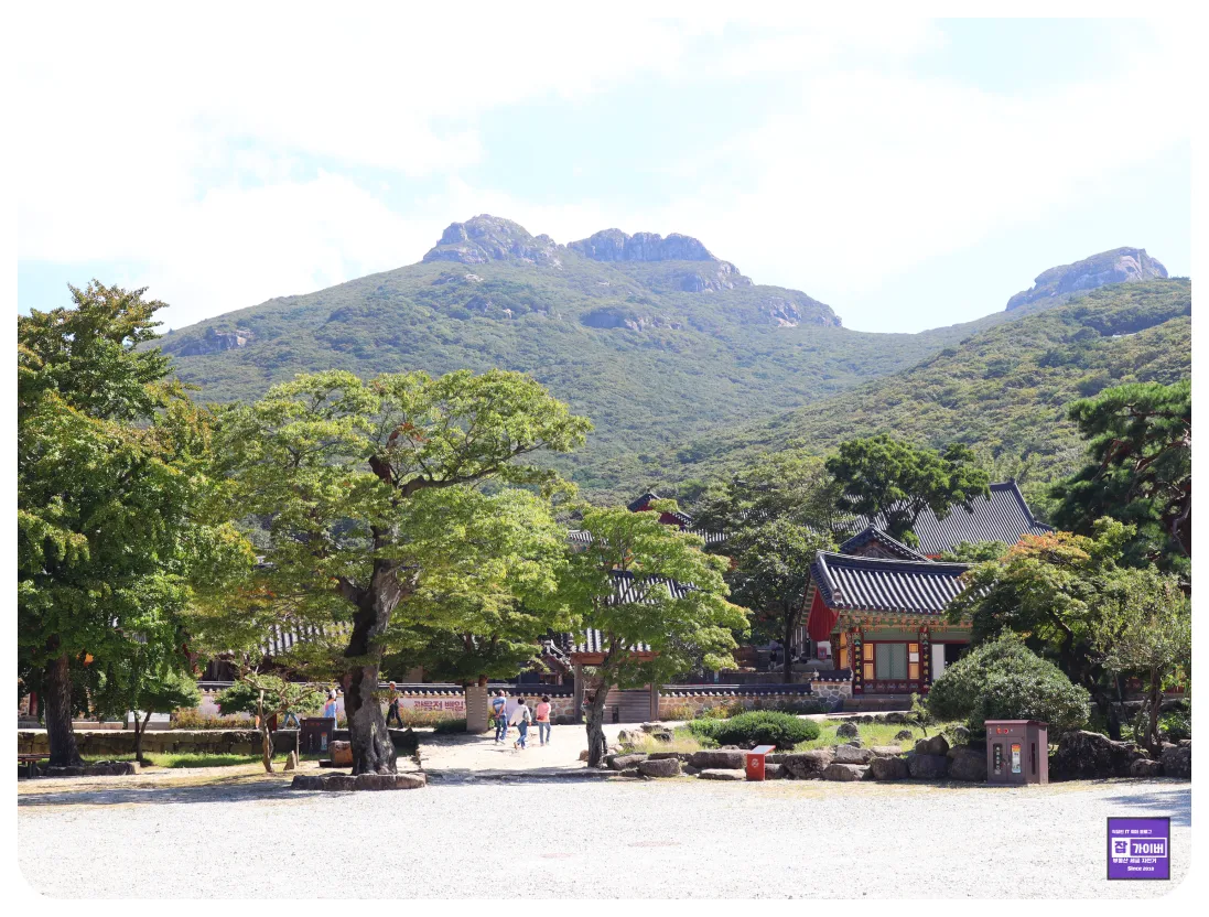 대흥사 경내 풍경