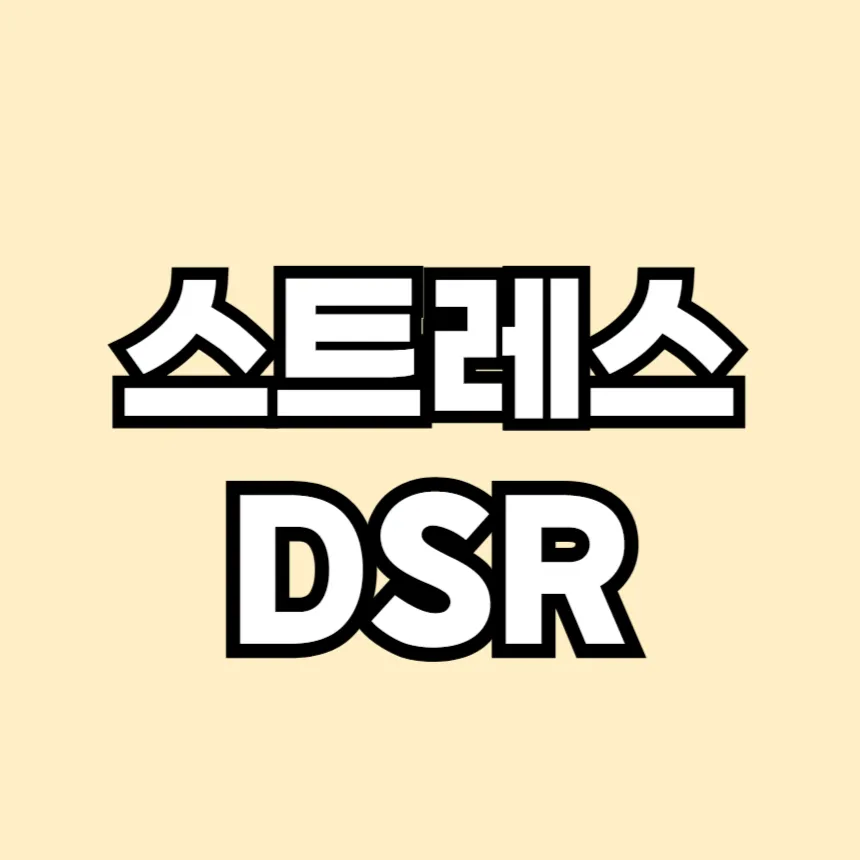 스트레스 DSR 3단계