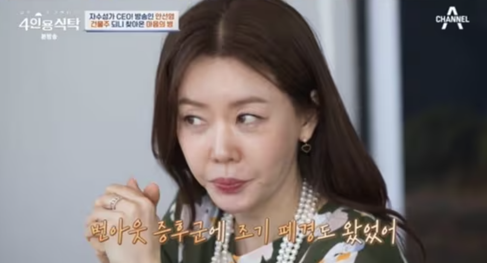 안선영 사업 남편 직업 나이 이혼 건물 조기폐경 자녀 화장품 한눈에 보기