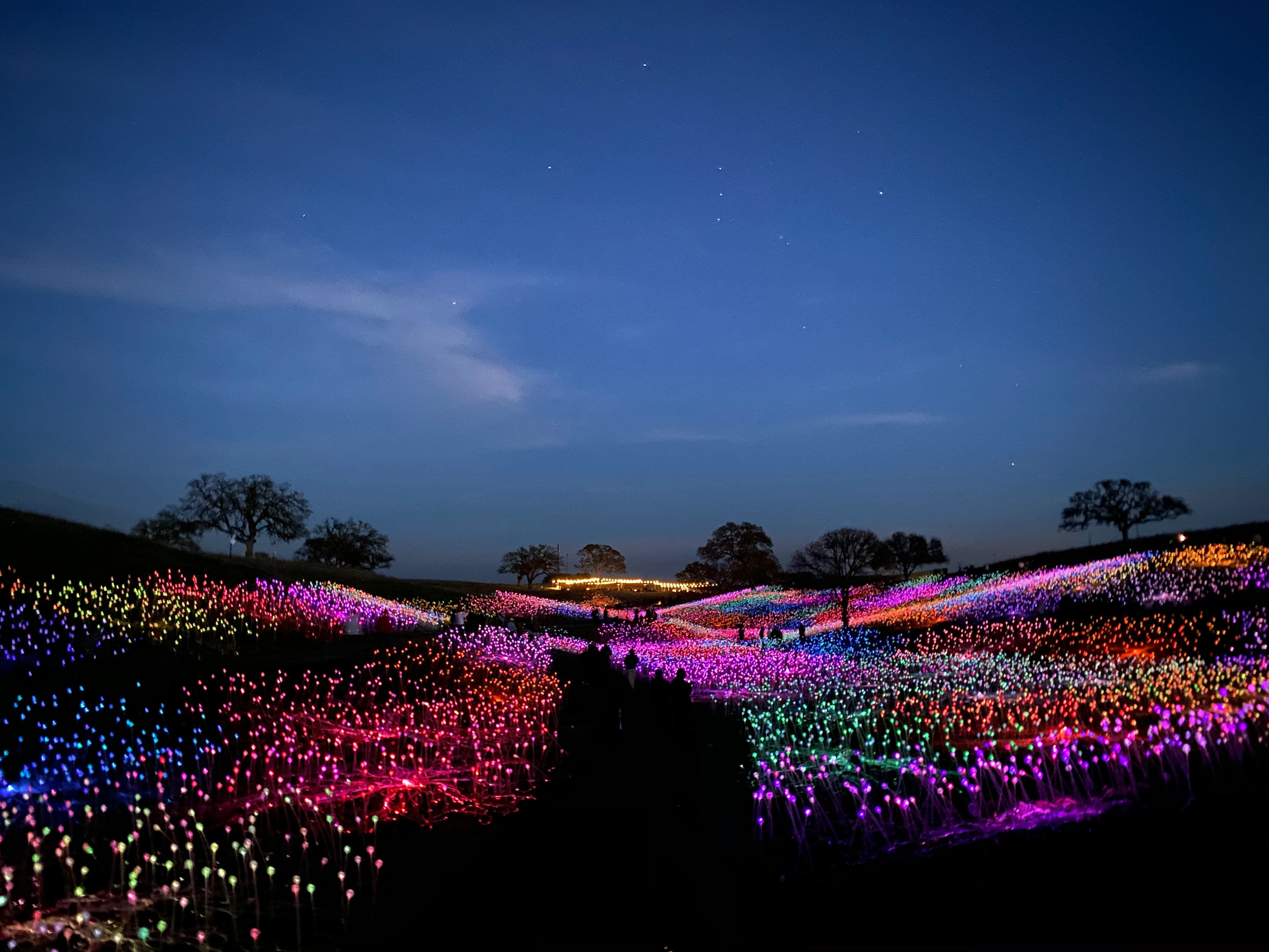 2026년 5월 전국 축제 일정 총정리