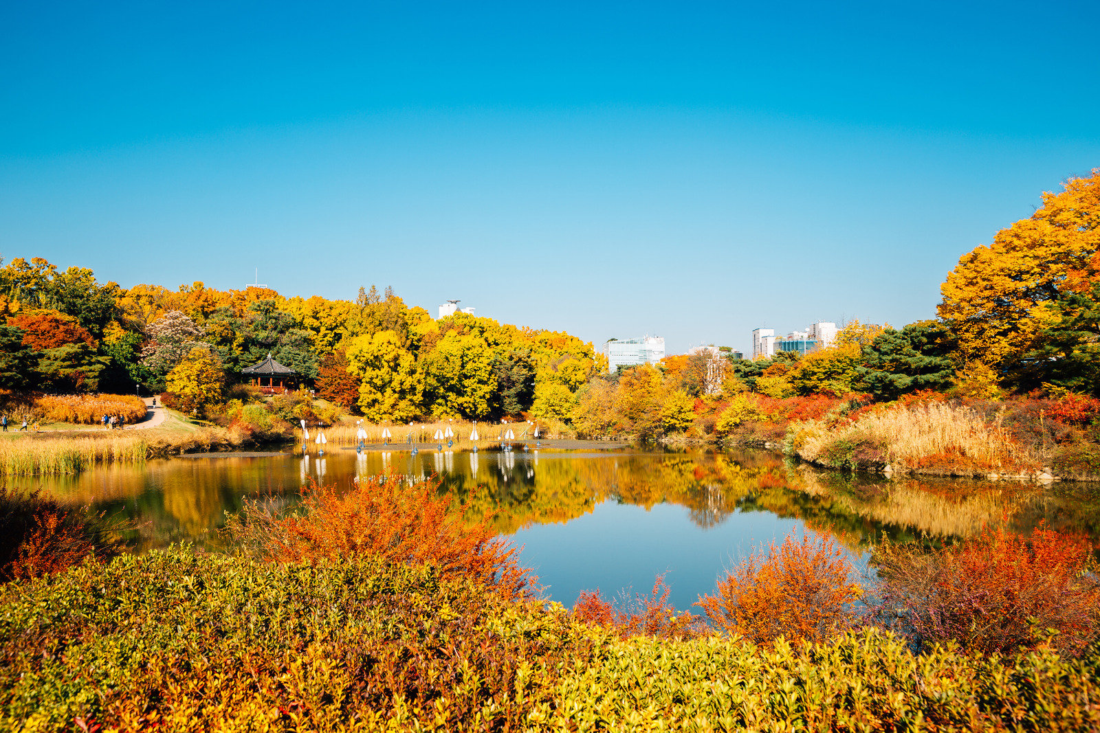 올림픽 공원