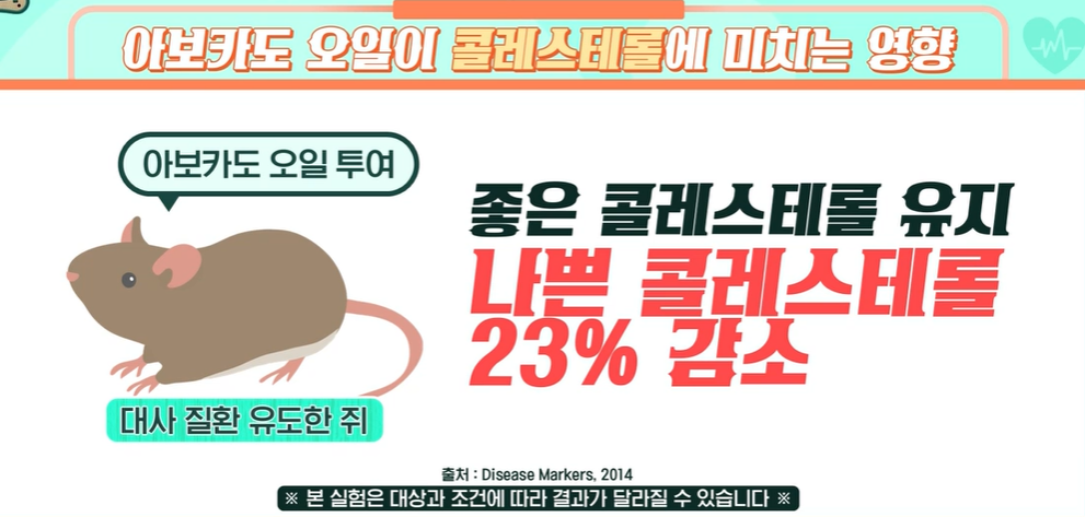 아보카도 오일