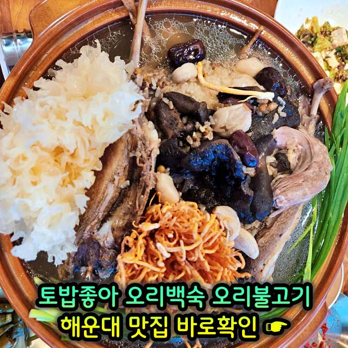 부산 해운대 맛집 무항생제 1등급 오리 백숙
