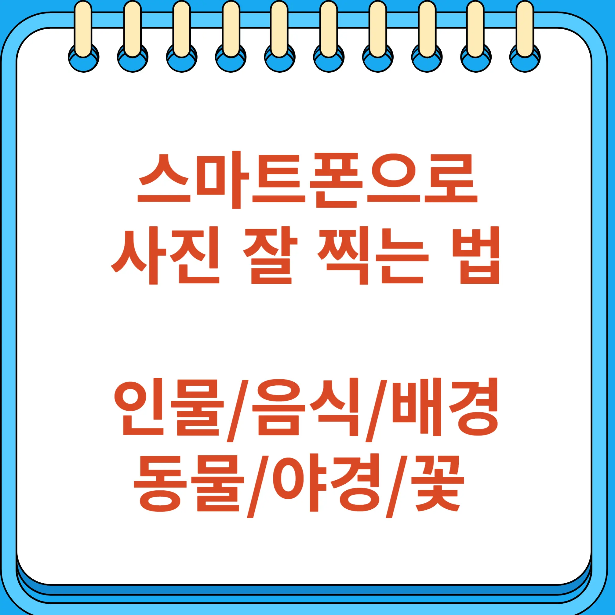 스마트폰 인물 음식 동물 야경 꽃 사진 촬영
