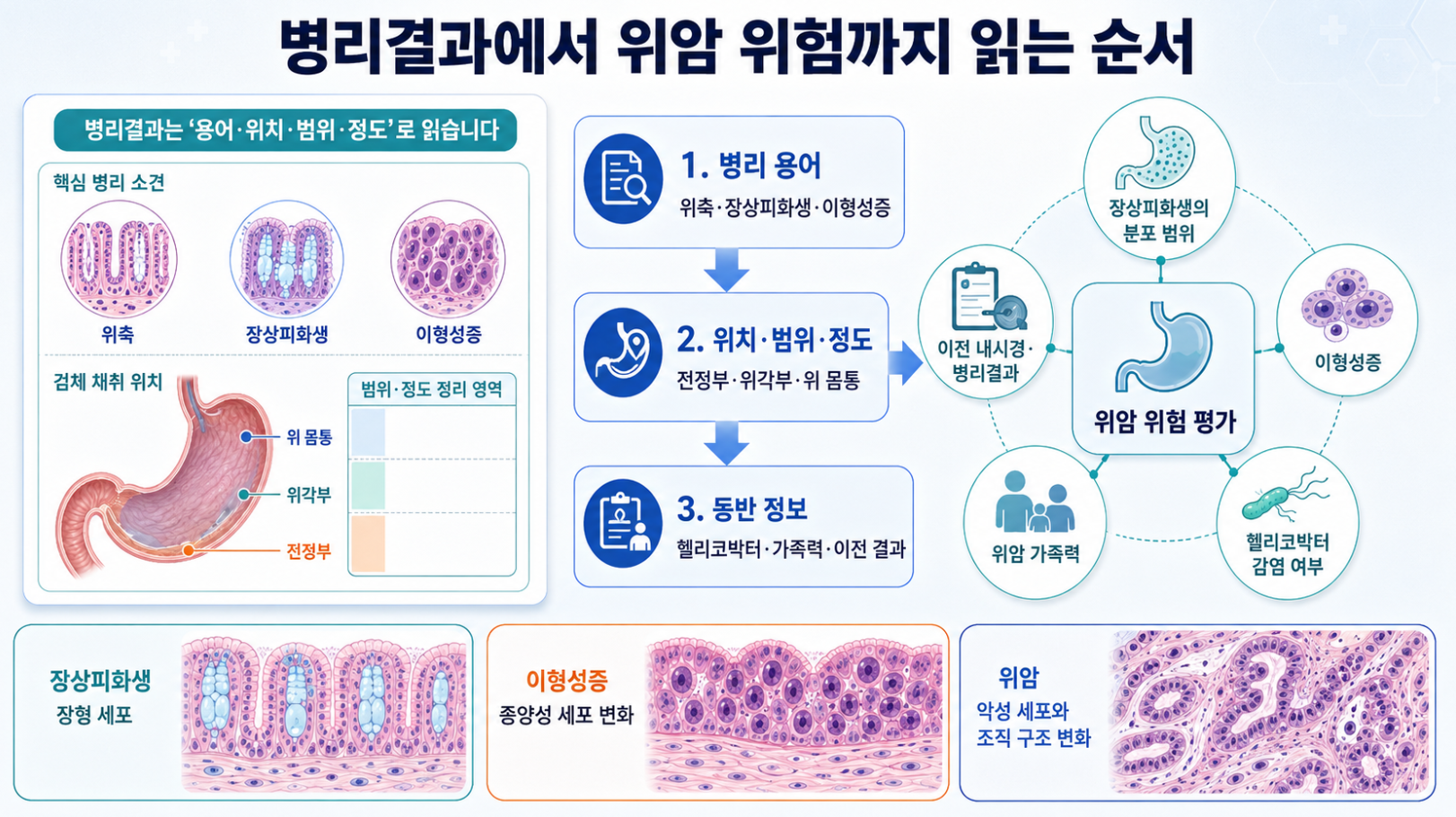 병리 용어와 조직 채취 위치·동반 정보를 이용한 위암 위험 평가 순서 인포그래픽