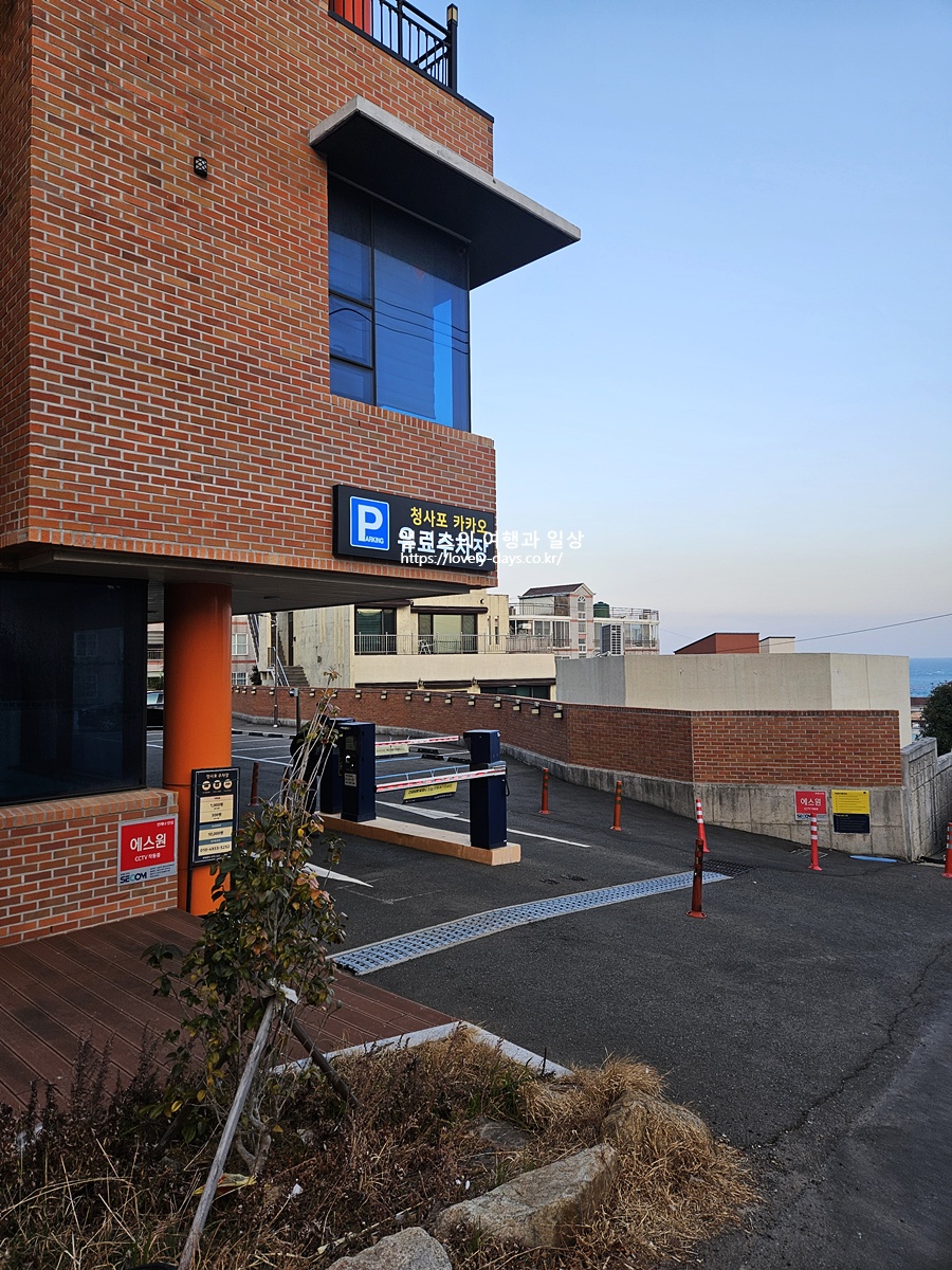 교토 감성 청사포 카페 추천 심미안 말차 전문점 음료 디저트 메뉴 가격 후기