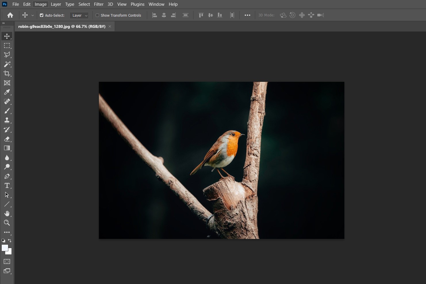 포토샵 가로로 뒤집기 예시 이미지