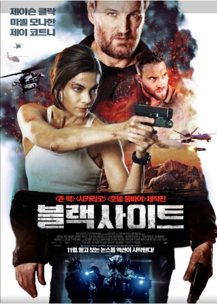 블랙 사이트 영화