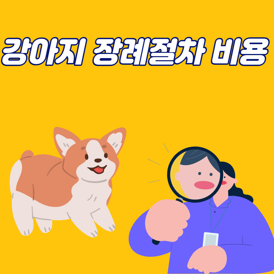 강아지 장례