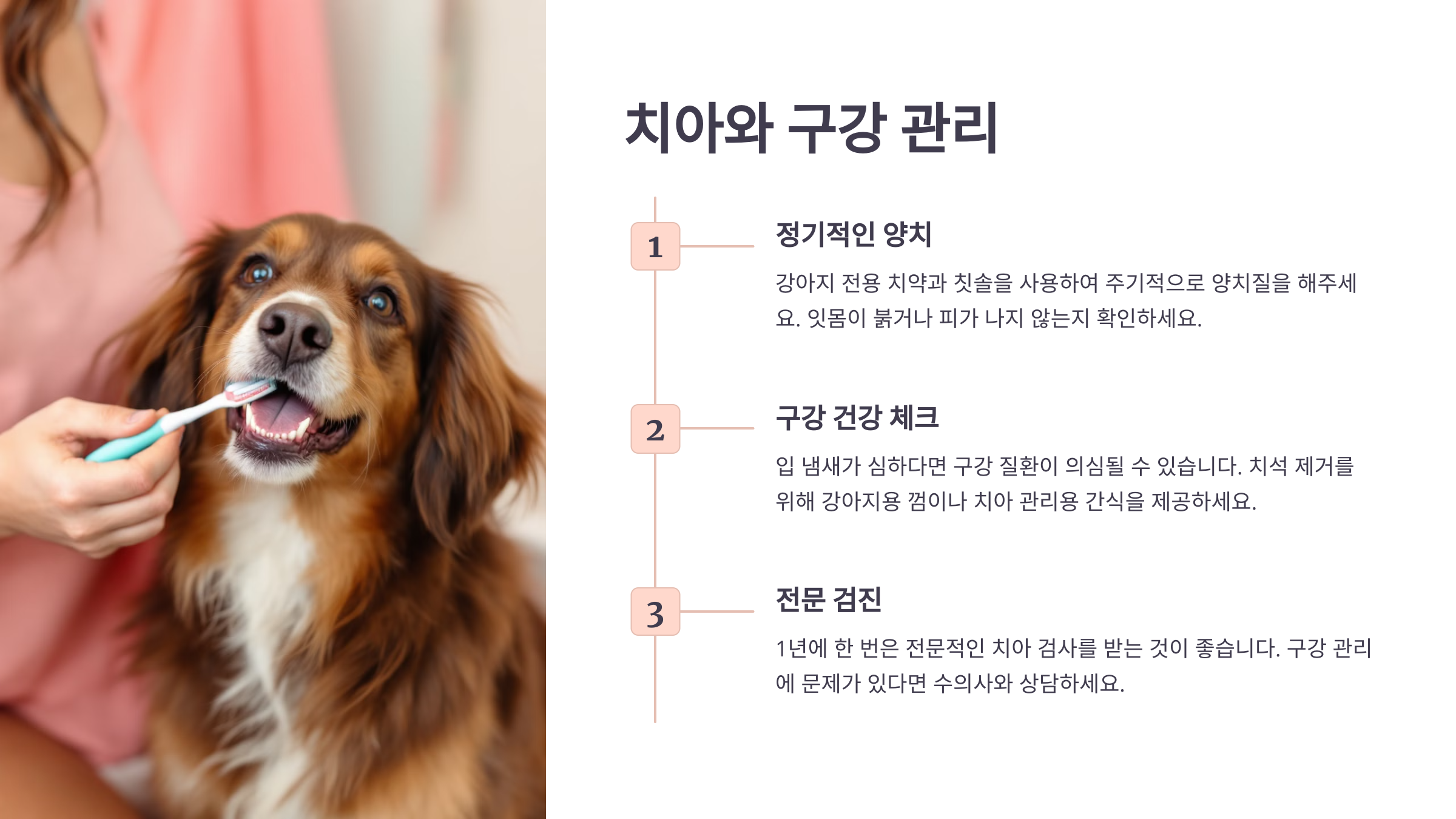 치아와 구강 관리