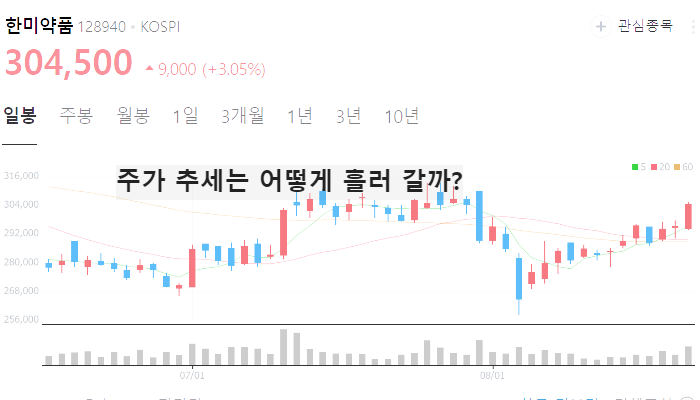 먹는 비만약 비만치료제 관련주 TOP10