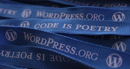 블로그 플랫폼 선택 가이드 관련 사진