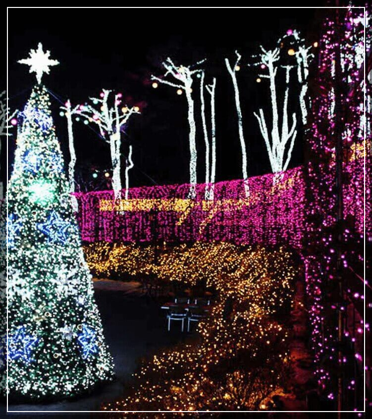 단양 가볼만한곳 베스트10 수양개 빛터널