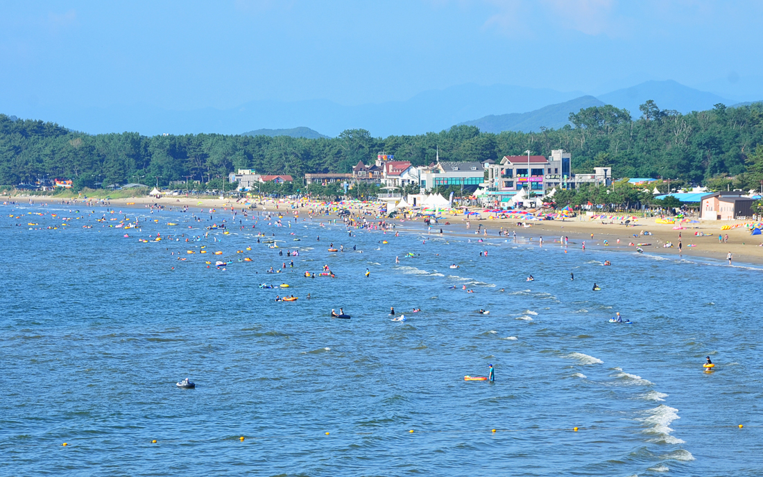 서천군 춘장대 나드리캠핑장 소개