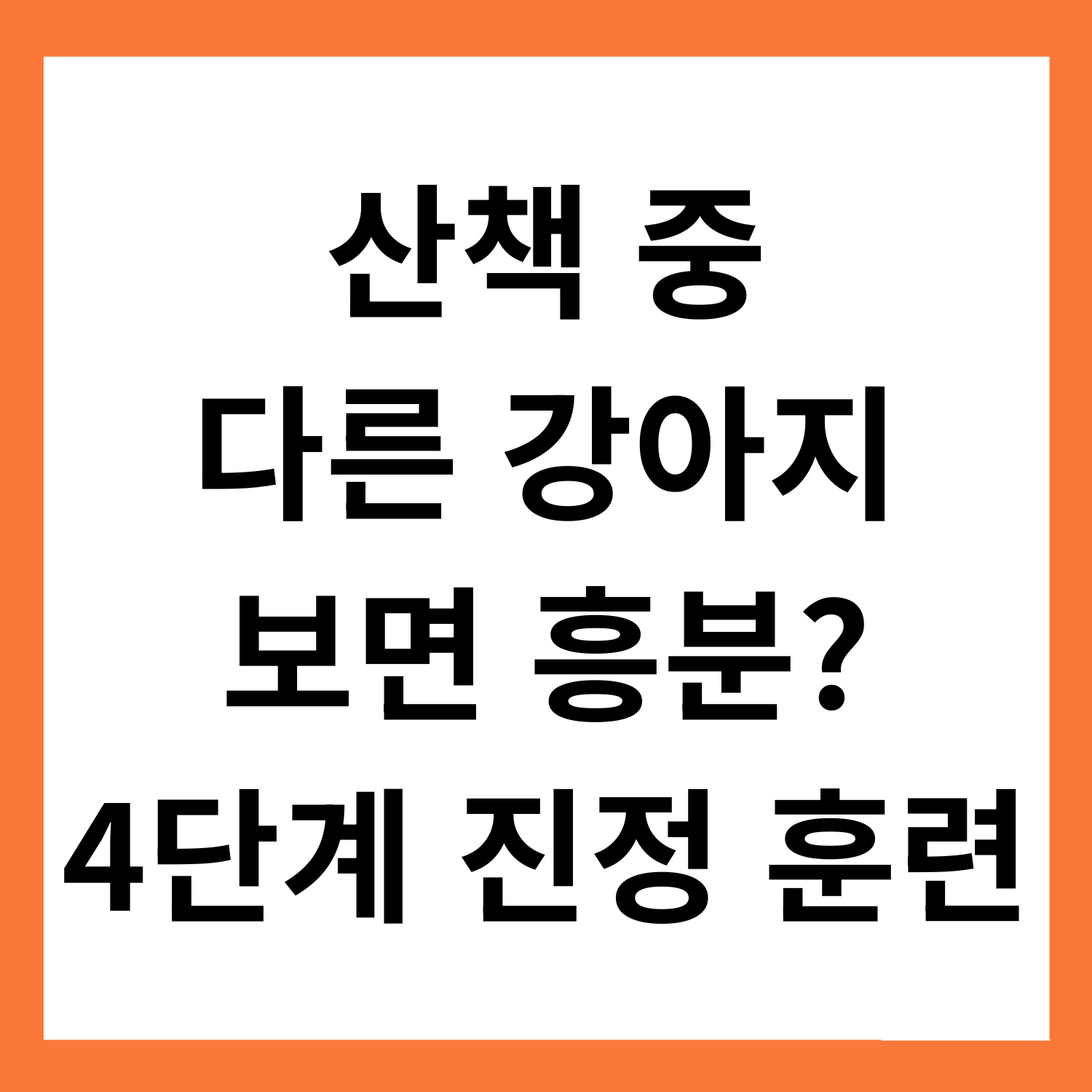 산책 중 다른 강아지 보면 흥분하는 아이? 4단계 진정 훈련