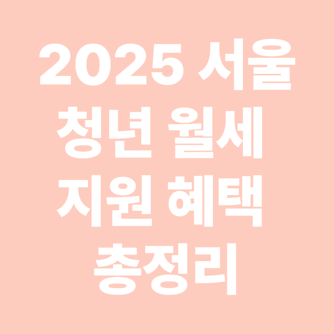 2025 서울 청년 월세 지원 혜택 총정리 &ndash; 타지역과 차이점은
